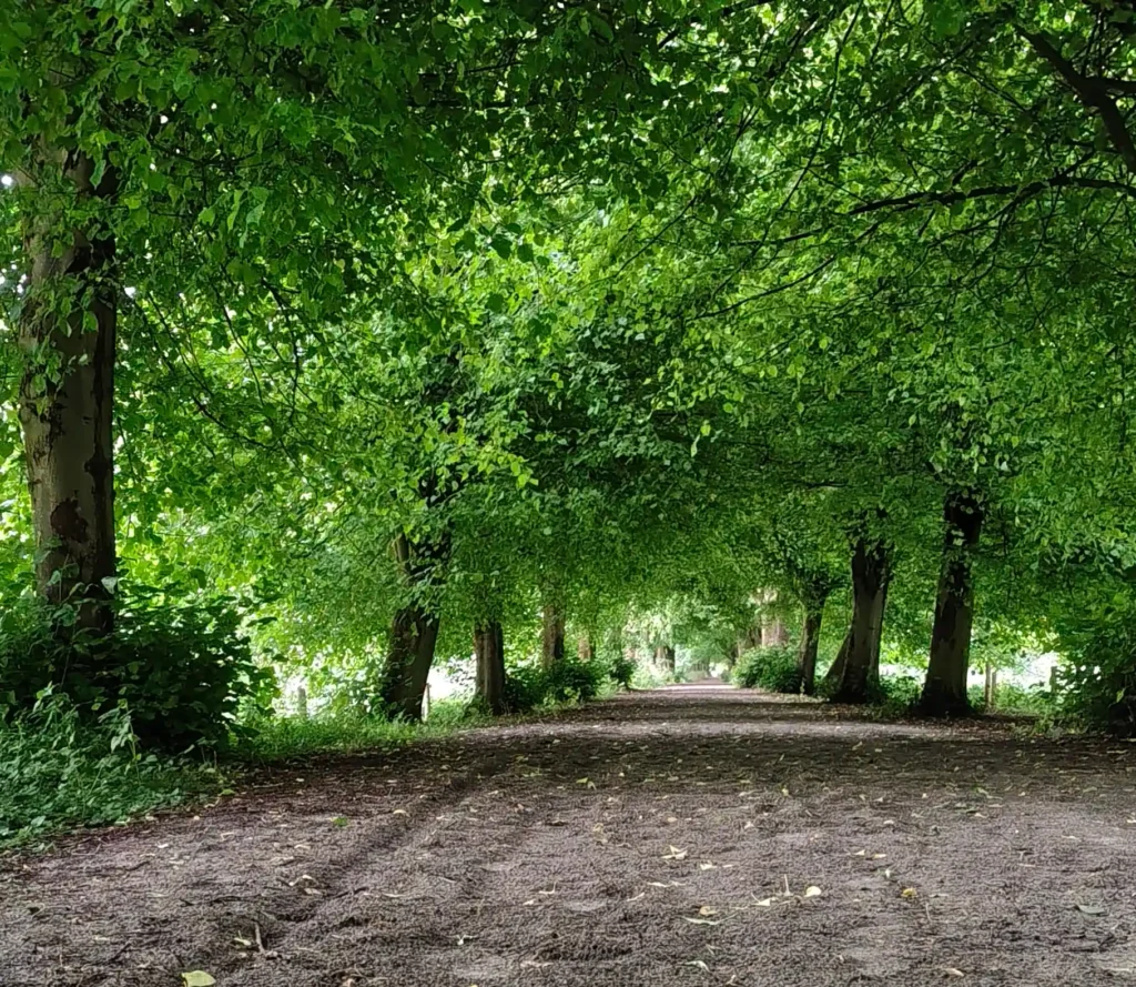 Het Pad - The Way